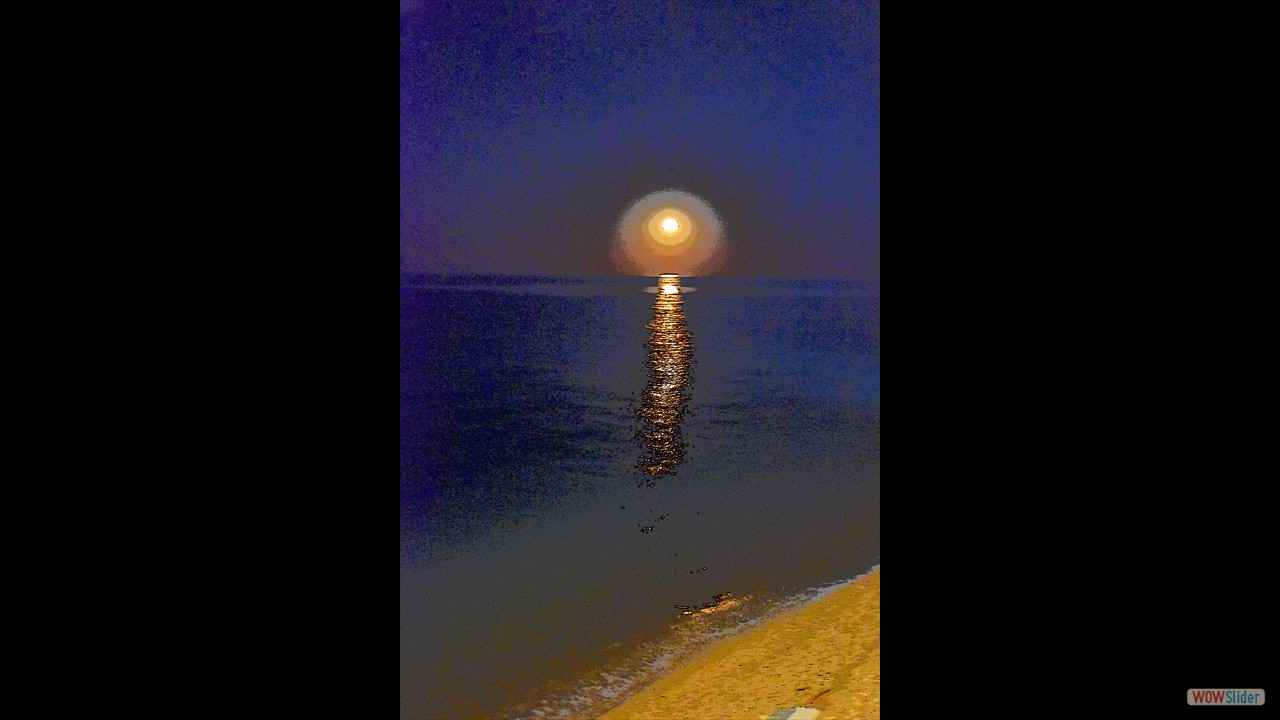 Porto Recanati e dintorni - 0238