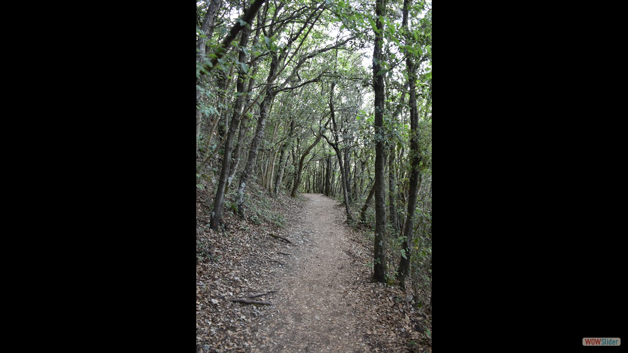 Porto Recanati e dintorni - Monte Conero - 0261