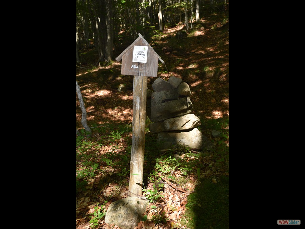 Bed and Breakfast al Lago Santo - 21-23 Ago 2021 - 0391