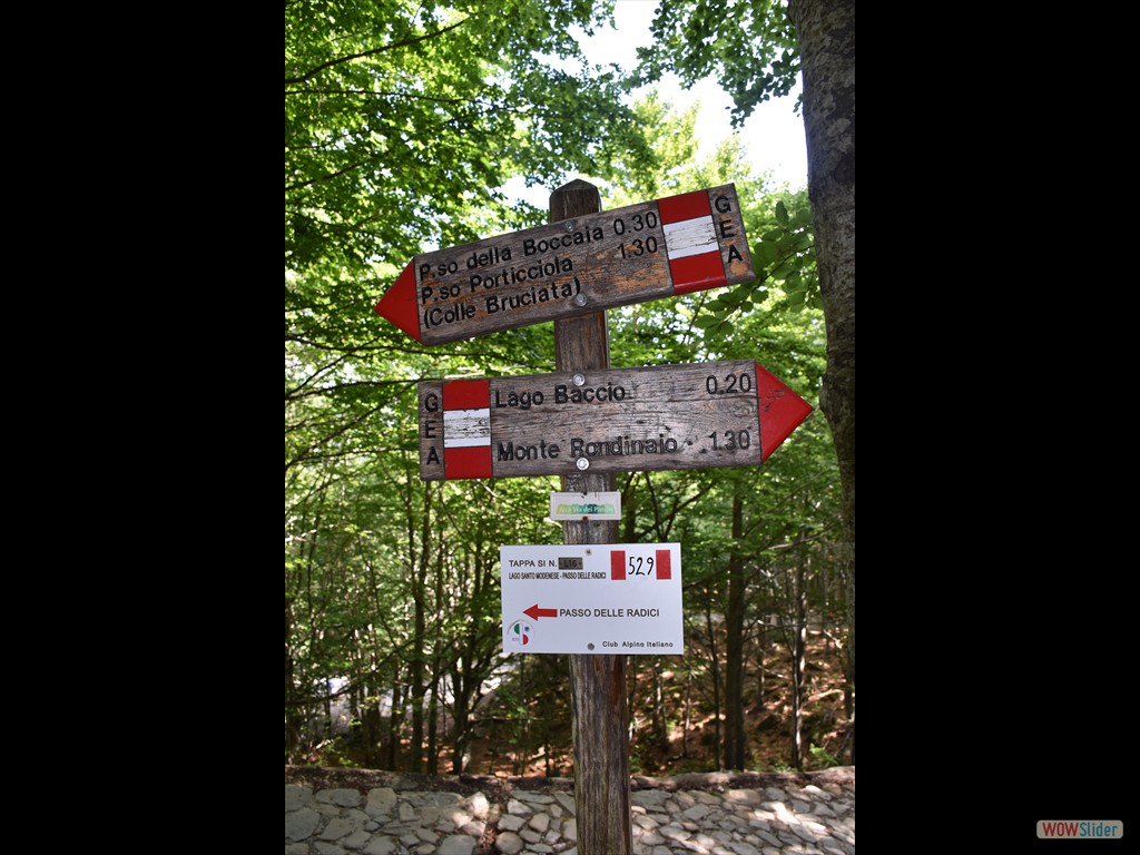 Bed and Breakfast al Lago Santo - 21-23 Ago 2021 - 0394