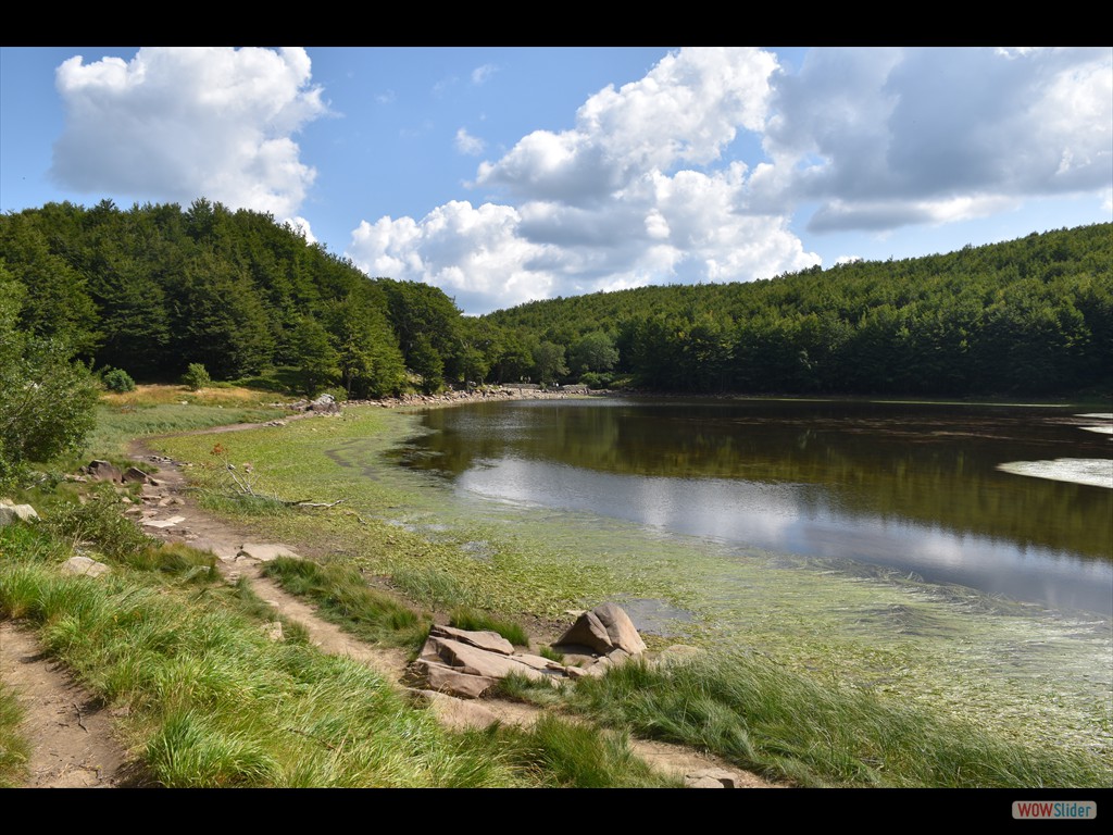 Bed and Breakfast al Lago Santo - 21-23 Ago 2021 - 0397