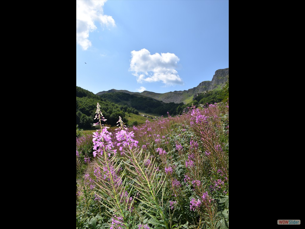 Bed and Breakfast al Lago Santo - 21-23 Ago 2021 - 0398