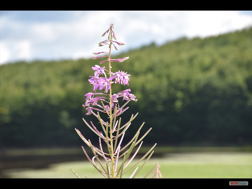 Bed and Breakfast al Lago Santo - 21-23 Ago 2021 - 0399