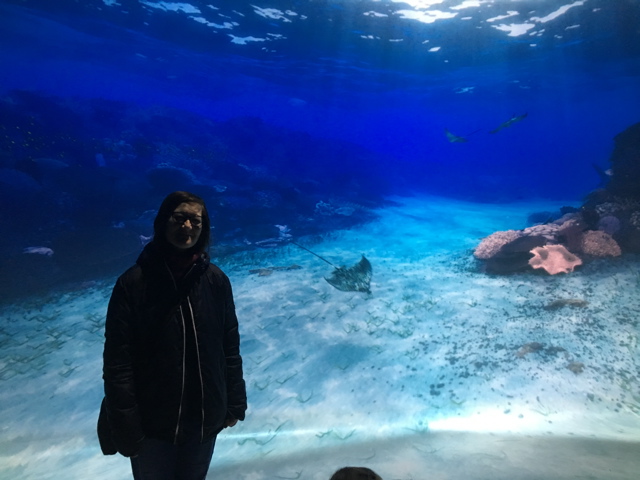 IPhoneSnd_7048