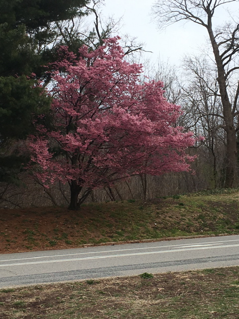 IPhoneSnd_7354