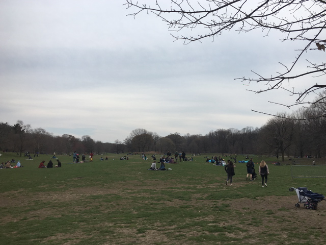 IPhoneSnd_7356