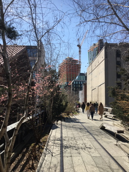 IPhoneSnd_6938