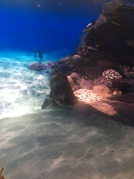 IPhoneSnd_7049