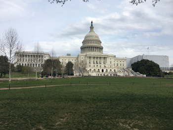 IPhoneMrk_8817