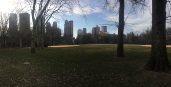 IPhoneMrk_8214