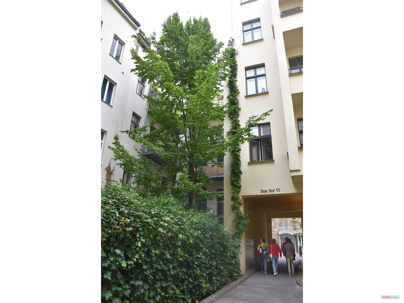 Germania-Svizzera 2021 - Berlin - 0781