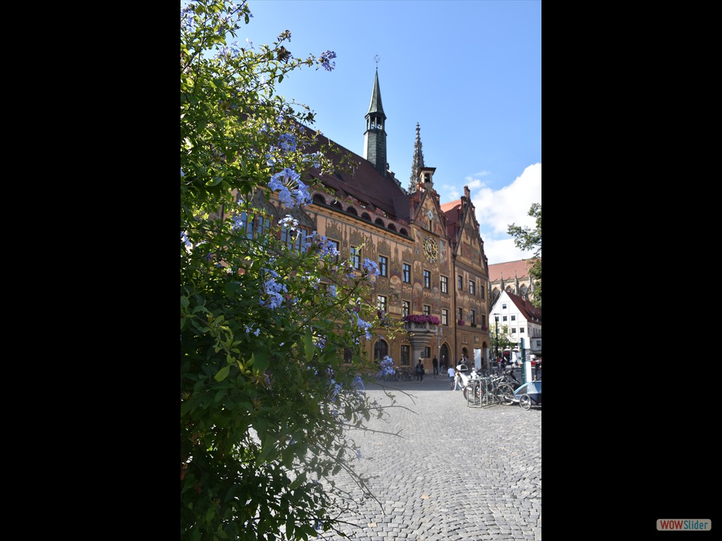 Germania-Svizzera 2021 - Ulm - 0630