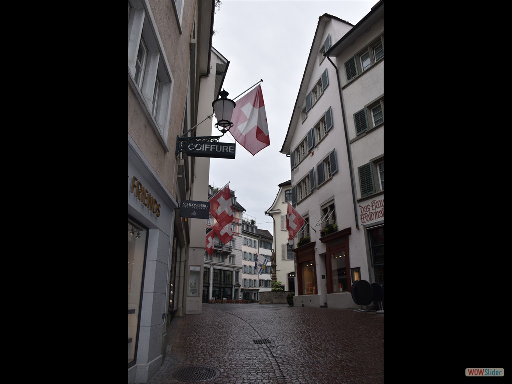 Germania-Svizzera 2021 - Zürig - 0471